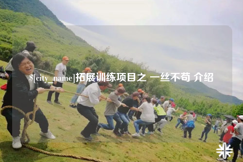 广州拓展训练项目之 一丝不苟 介绍